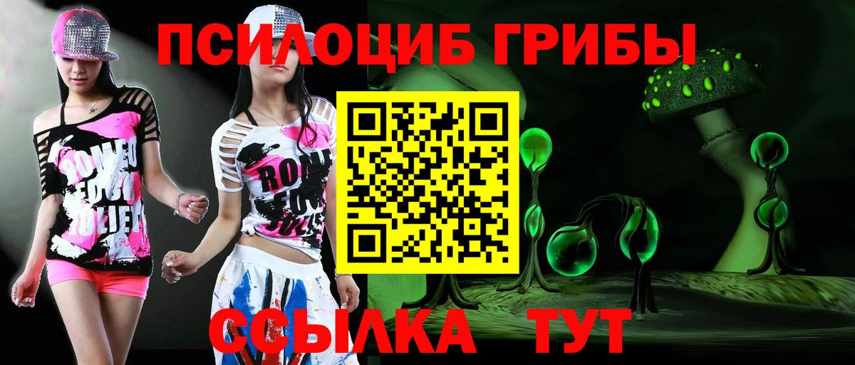 Псилоцибиновые грибы Cubensis Кемерово