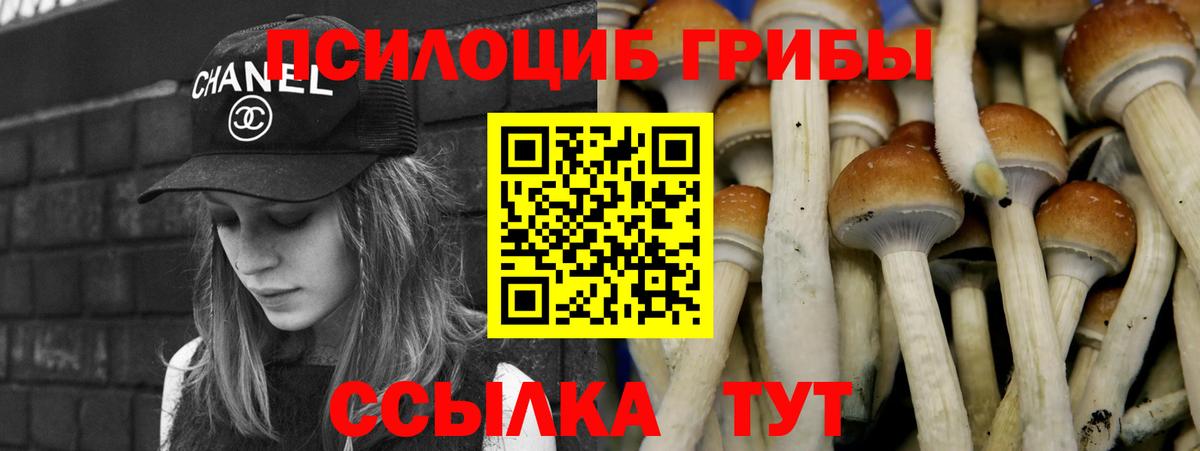 Галлюциногенные грибы мицелий  Псилоцибиновые грибы мухоморы  Вход с VPN  купить наркоту  Кемерово 