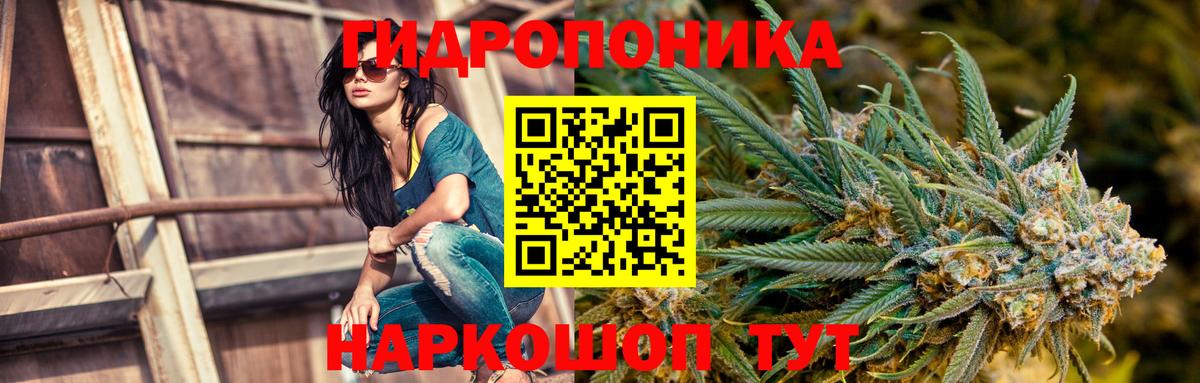 Каннабис ГИДРОПОН Кемерово